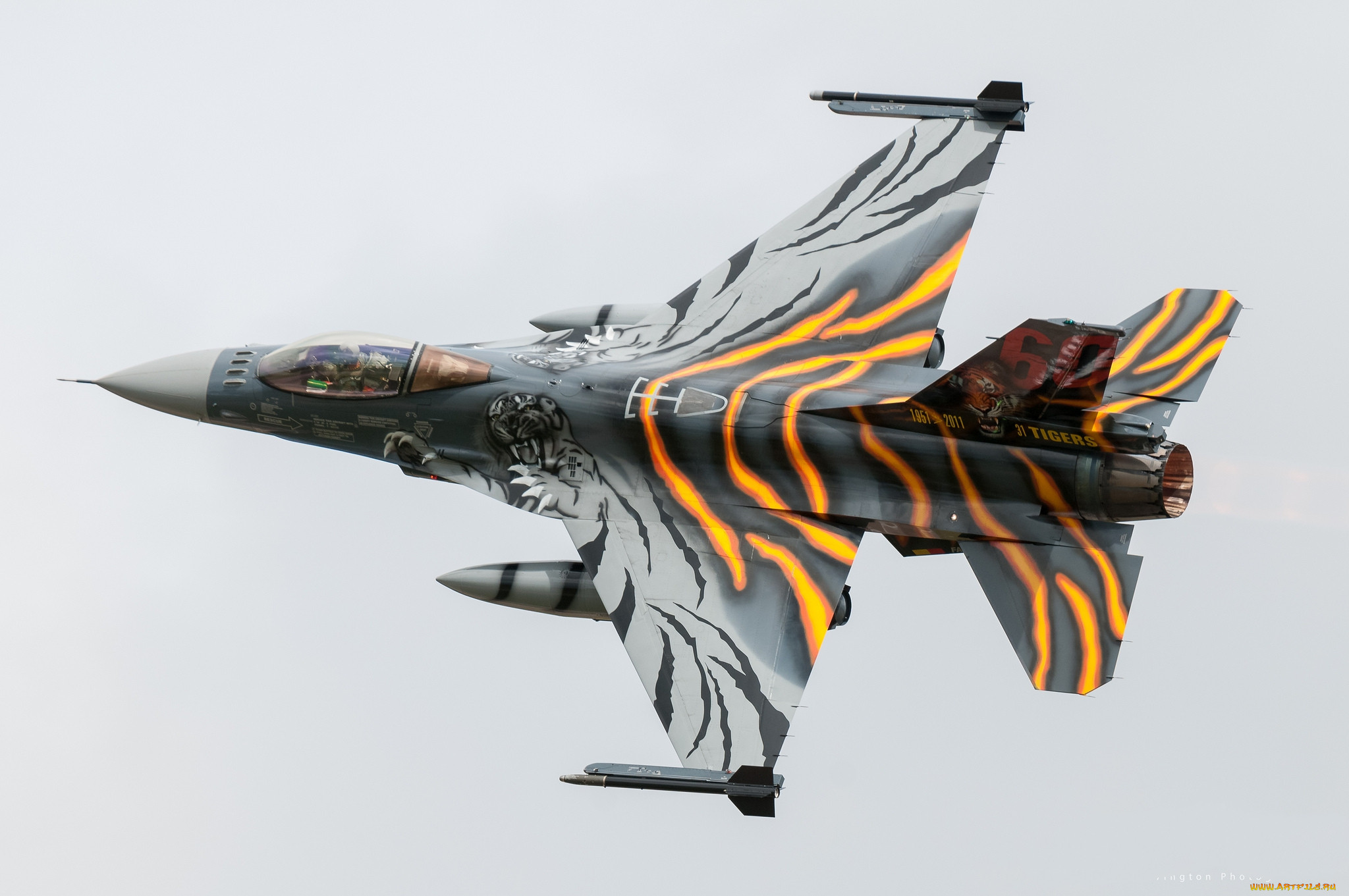 general dynamics f-16am fighting falcon, ,  , 